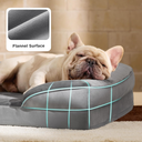 sofa bed.webp