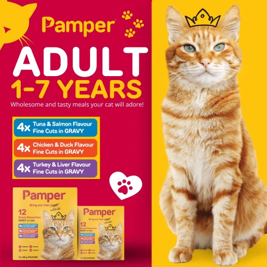 Pamper-Adult-Fine-Cuts-Country-Gravy-Multi-Pack-Wet-Cat-Food-12-x-85g-Pouche-petstore-amuritius.webp