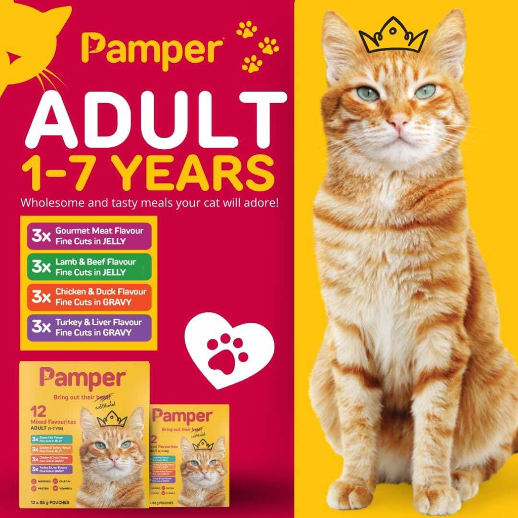 pamper-multipack-petstore-mauritius.webp