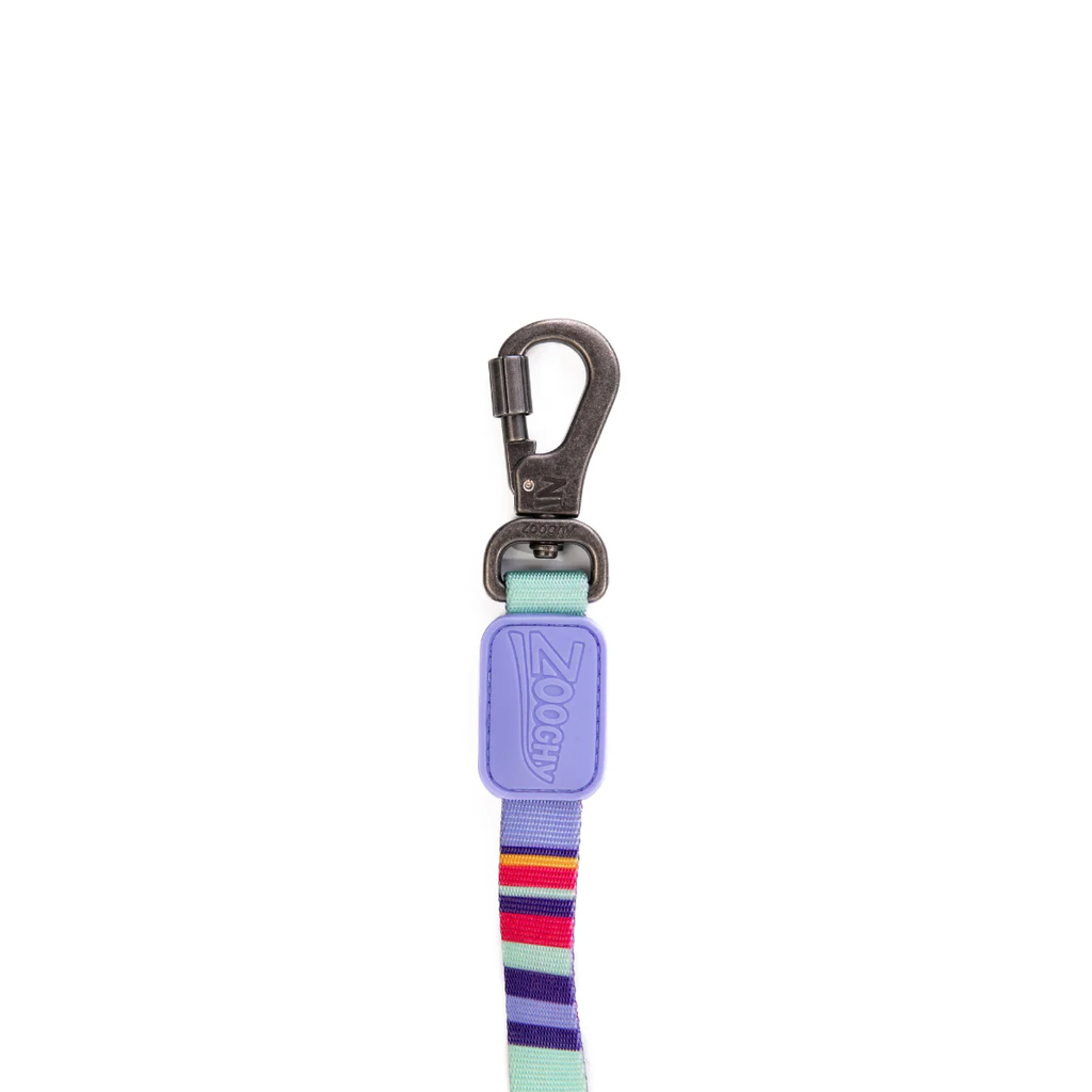 zooghy-dog-leash-stripe-violet-petstore-mauritius-3.webp
