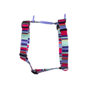 zooghy-h-dog-harness-stripe-violet.webp