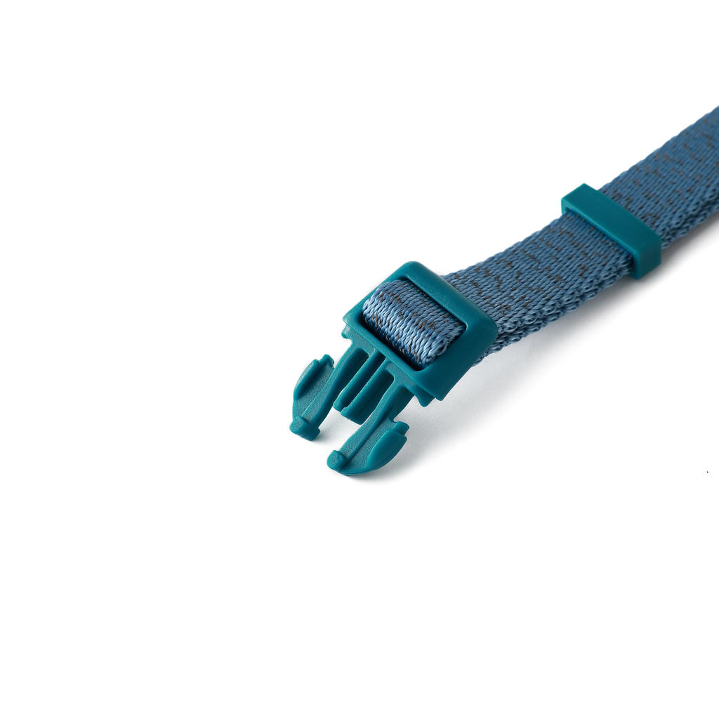 zooghy-dog-collar-glow-in-the-dark-blue-3.webp