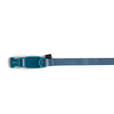 zooghy-dog-collar-glow-in-the-dark-blue-1.webp