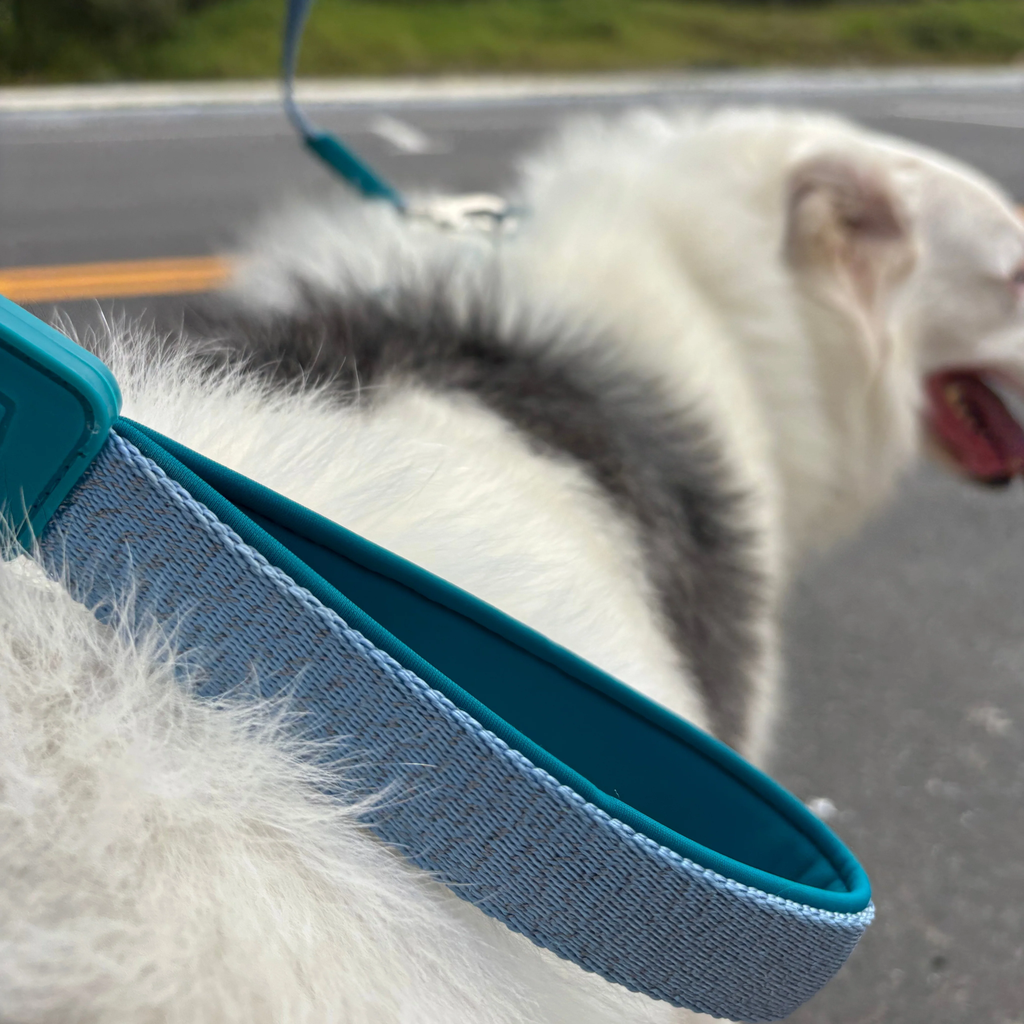 zooghy-dog-leash-glows-blue-3.webp