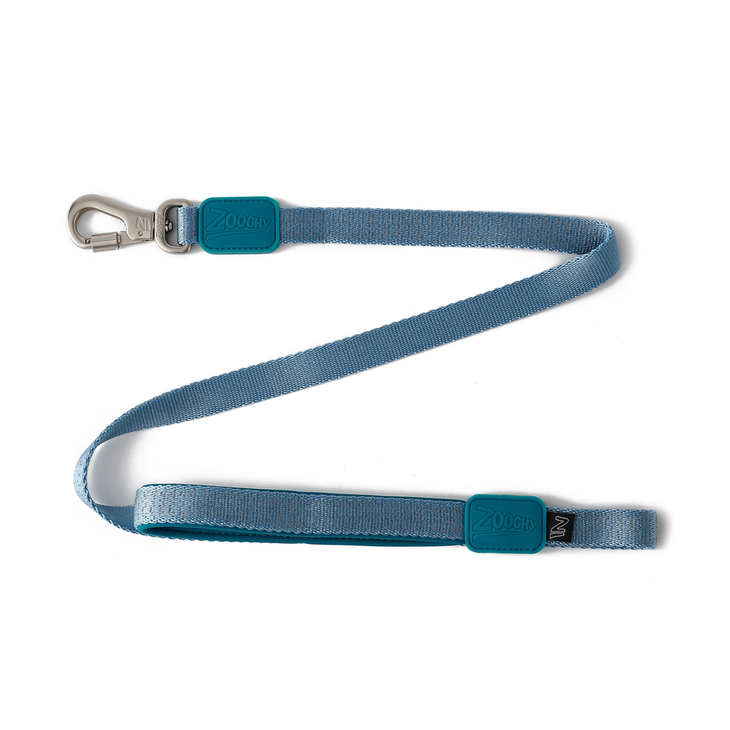 zooghy-dog-leash-glows-blue-petstore.webp