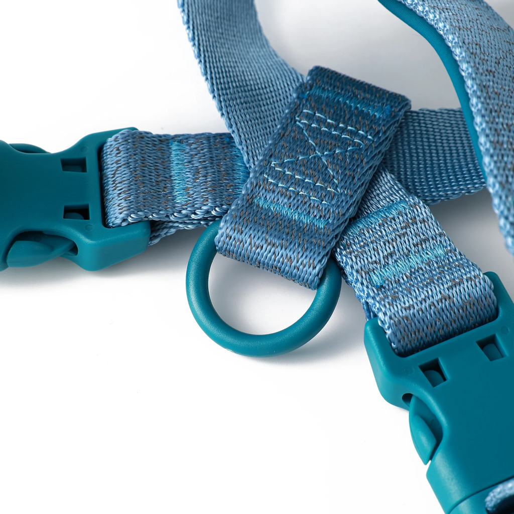 zooghy-x-harness-glows-blue-3.webp
