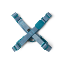 zooghy-x-harness-glows-blue-1.webp