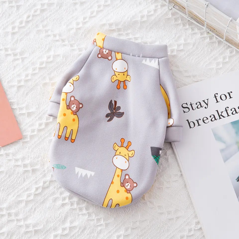 Image 4