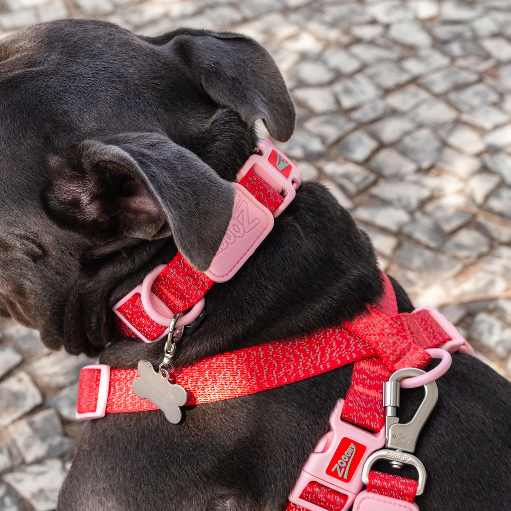 zooghy-dog-collar-glows-in-the-dark-red-5.webp