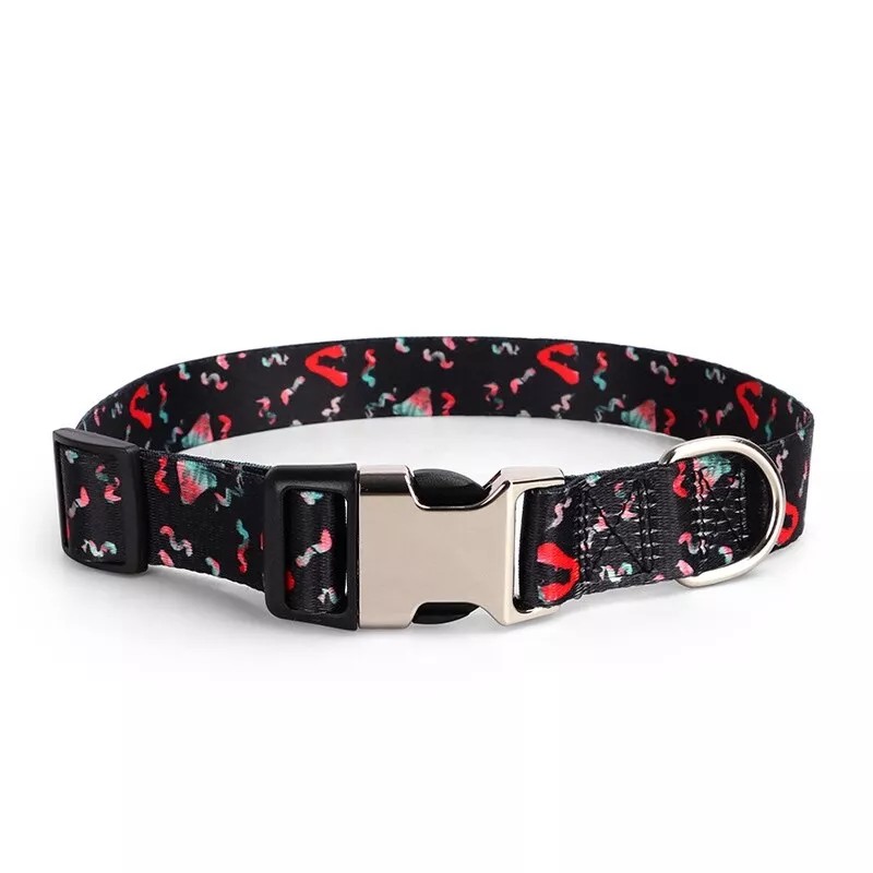 Image 12