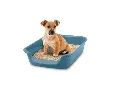 savic-junior-toilet-bluestone (1).webp