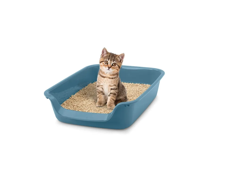 savic-junior-toilet-petstore (1).webp