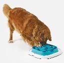 savic-pet-enigma-large (1).webp