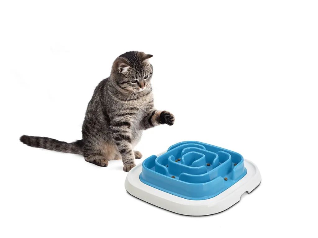savic-pet-enigma-level2 (1).webp