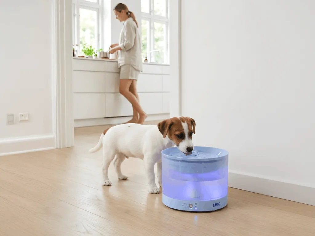 savic-sensa-water-fountain-dog (1).webp