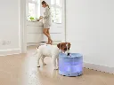 savic-sensa-water-fountain-dog (1).webp