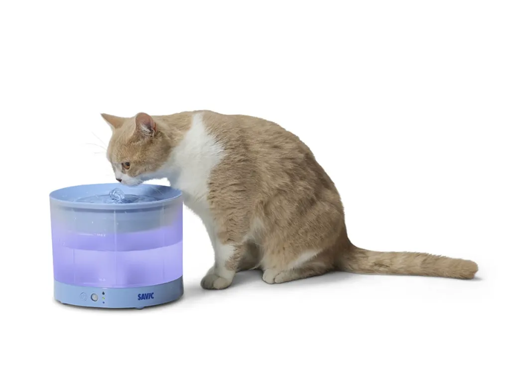 savic-sensa-water-fountain-cat (1).webp
