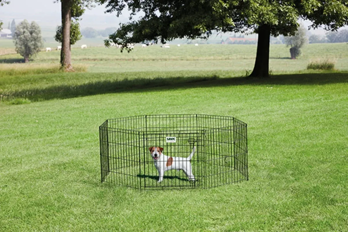 savic-dog-park.webp