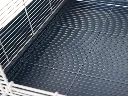 savic-gite-1-aviary-blue (1).webp