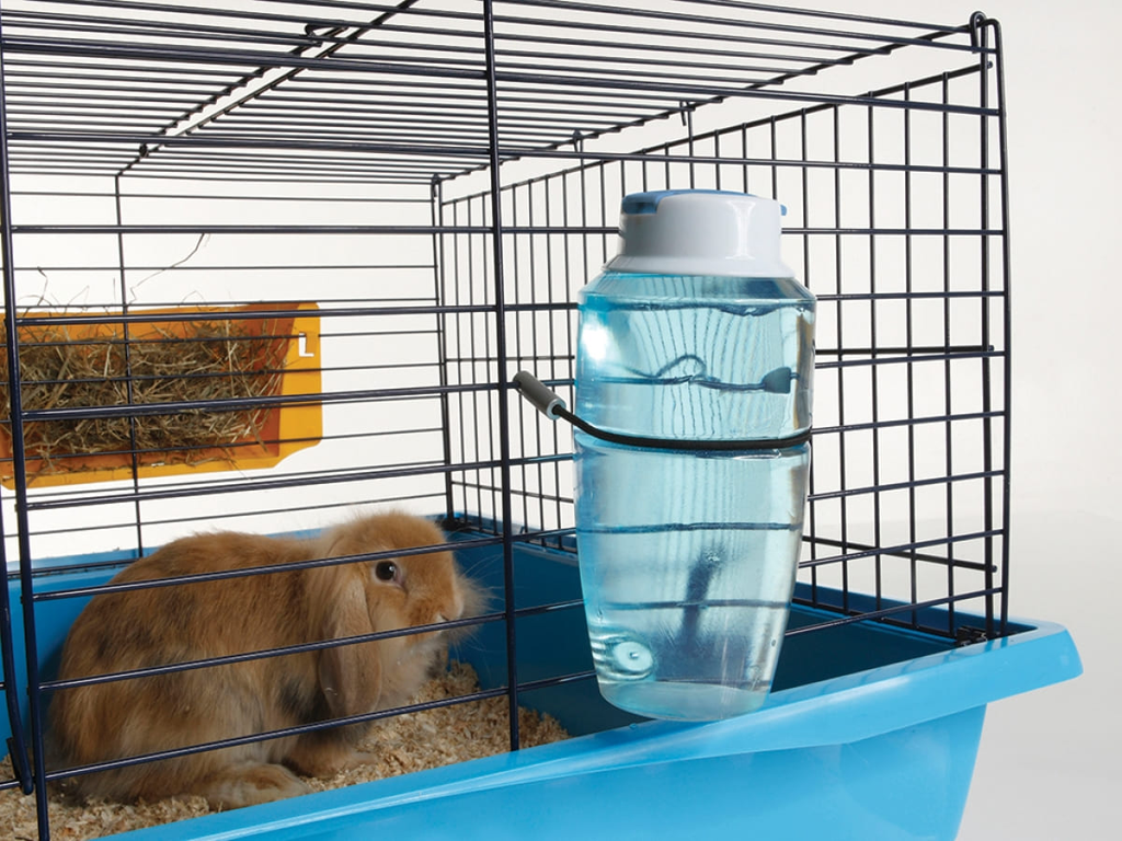 savic-biba-drinker-blue.webp