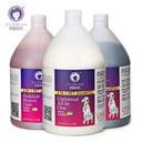Shampoo Gallon 3,780ml