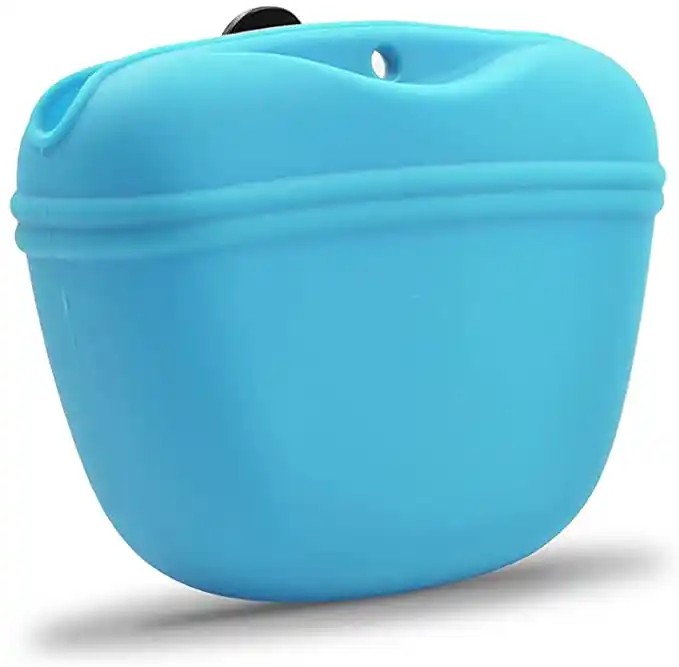Silicone Training Pouch Leash