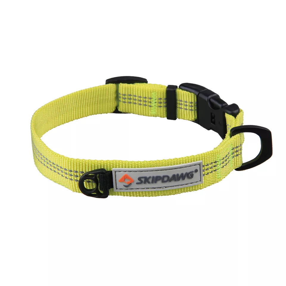 Skipdawg Pathfinder Collar - Lime