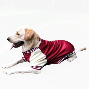 Sports Jacket