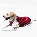 Sports Jacket