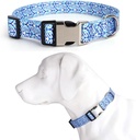 Stylish Dog Collar