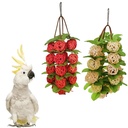 Takraw Rattan Bird Toy