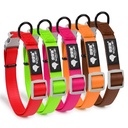 Taotao Pet Collar