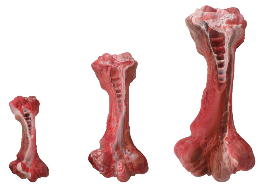 We Love We Care - Ultra Durable Dog Chew Bone  - Beef Flavor