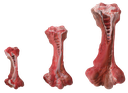 We Love We Care - Ultra Durable Dog Chew Bone  - Beef Flavor