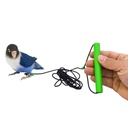 6m Bird Leash