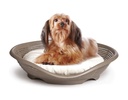 Bama Pasha Bed With Cushion