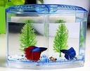 Betta House Double