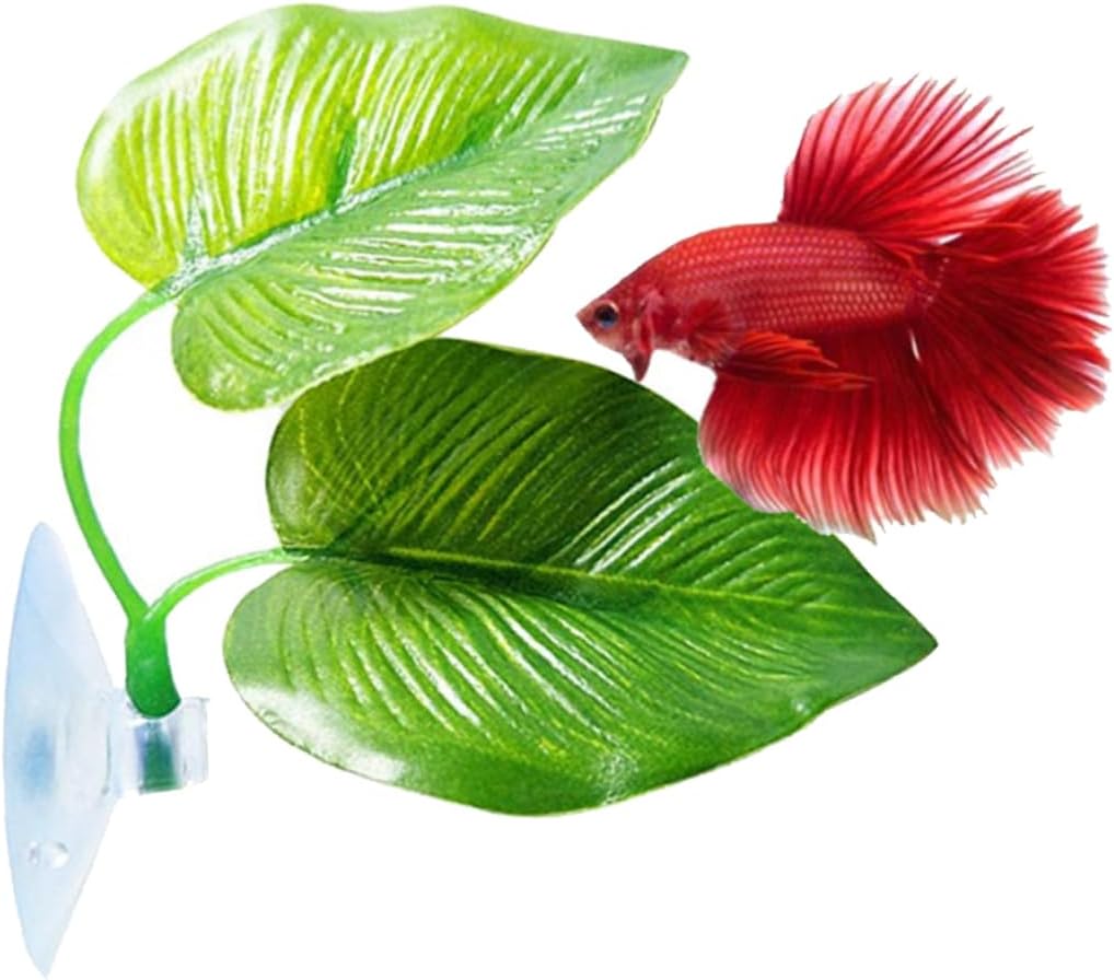 [26504] Betta Resting Leaf