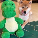Big Dino Plush