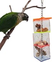 Bird Hanging Foraging Box