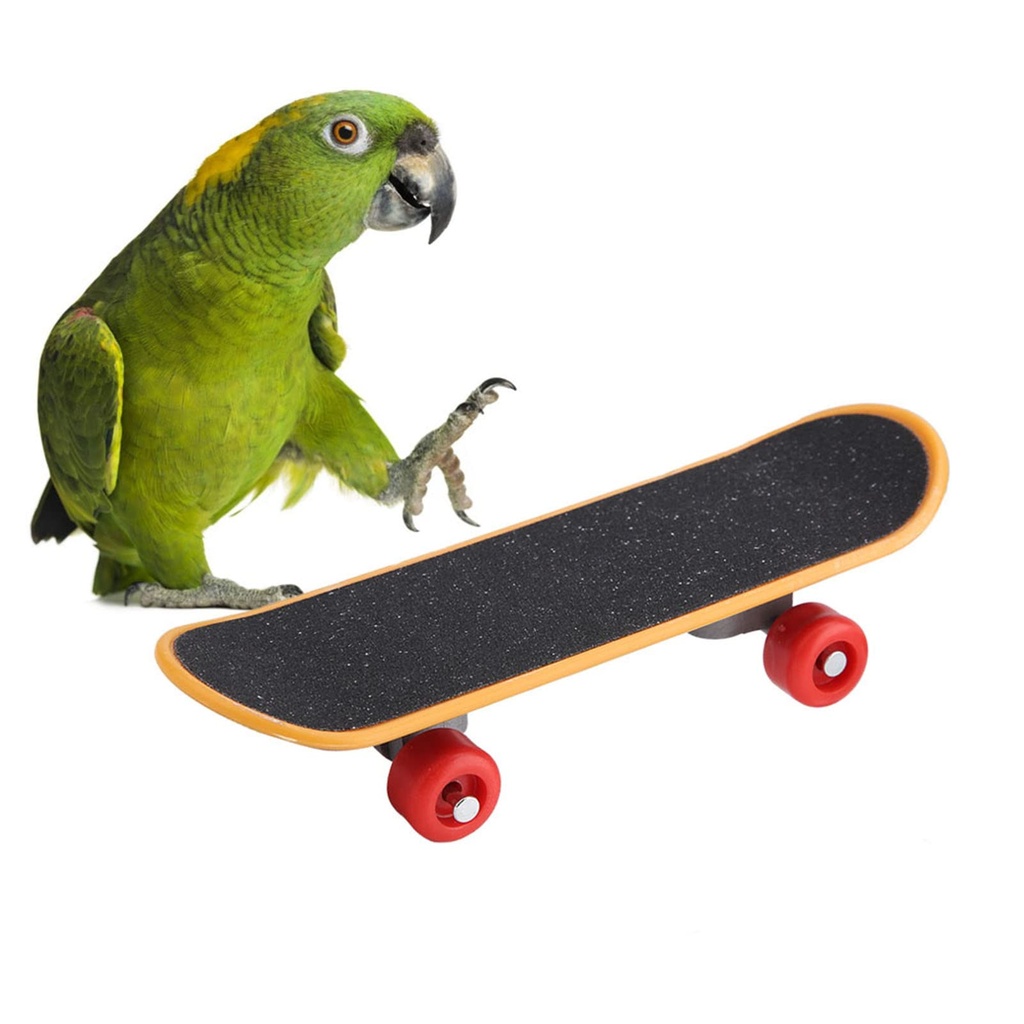 Bird Mini Skateboard