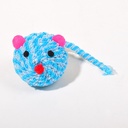 Colorful Round Mouse Toy