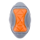 Dog Rugby Ball