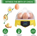 Egg Incubator