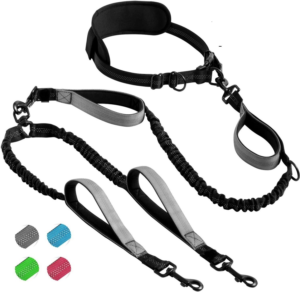 [33739] No Tangle Double Dog Leash