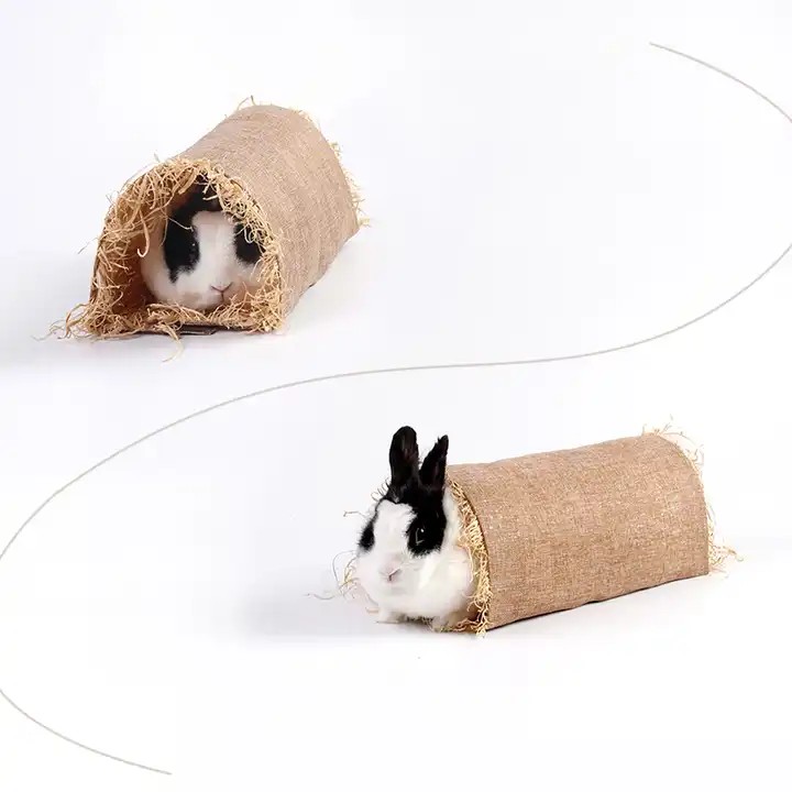 [26807] Rabbit Tunnel