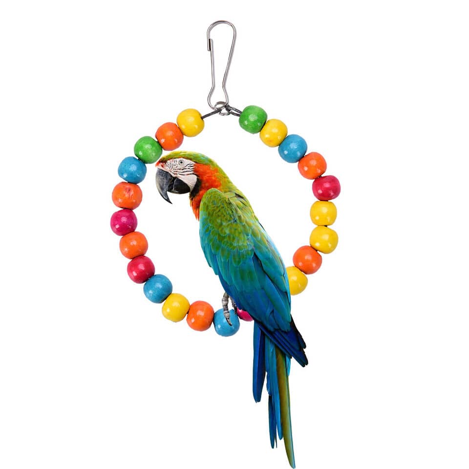 [26251] Roundy Swing Bird Toy