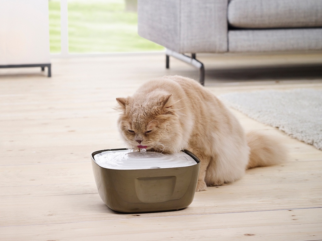 [A0331-00WW] Savic Volcano | Drinking Fountain - 2,5 L