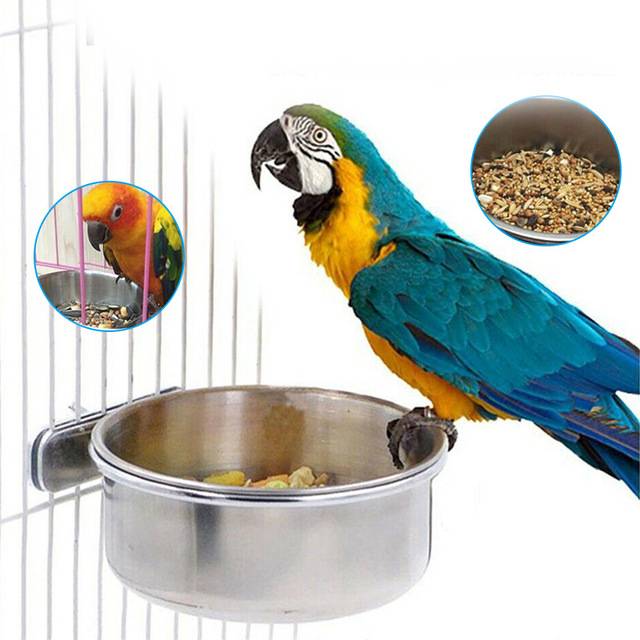 Stainless Steel Bird Bowl