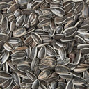 Sunflower Seeds 1kg
